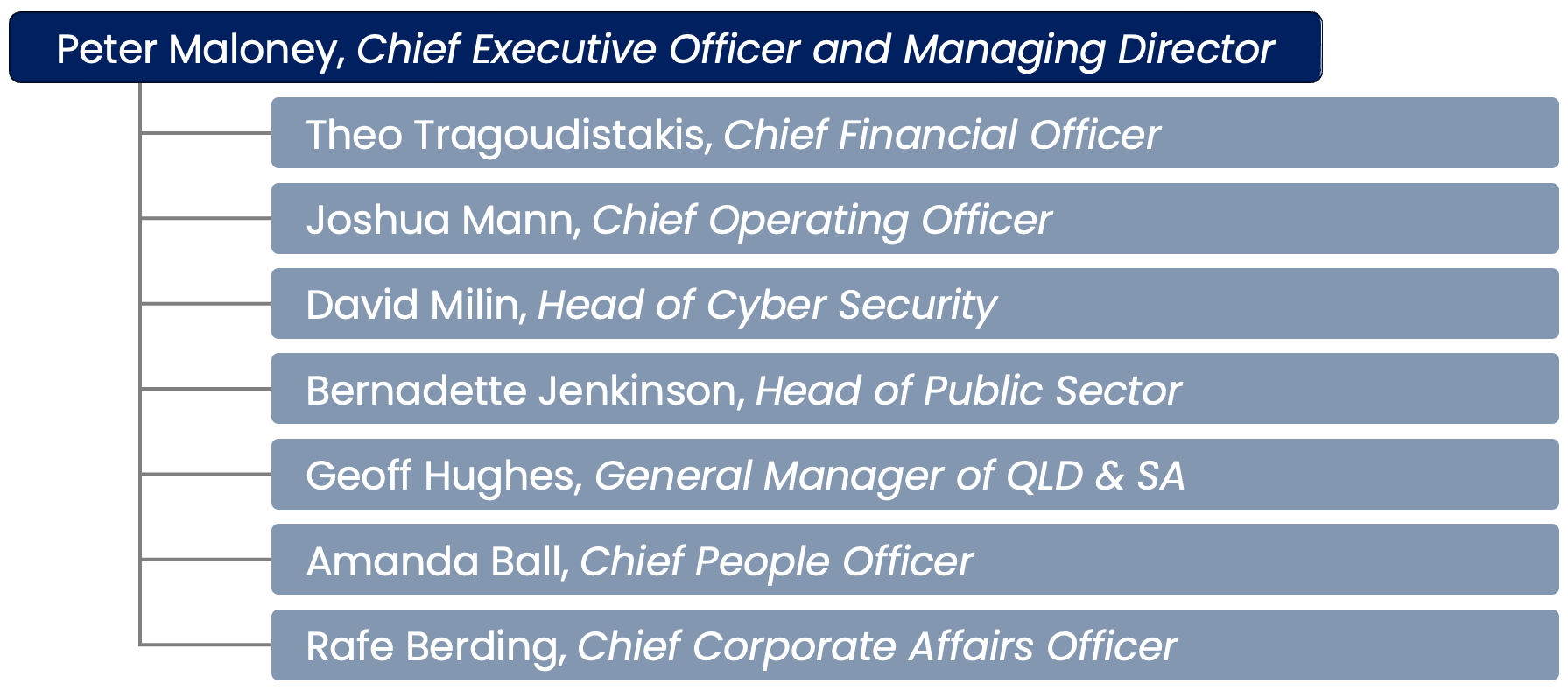 AUCloud Senior Leadership Team Organisation Chart