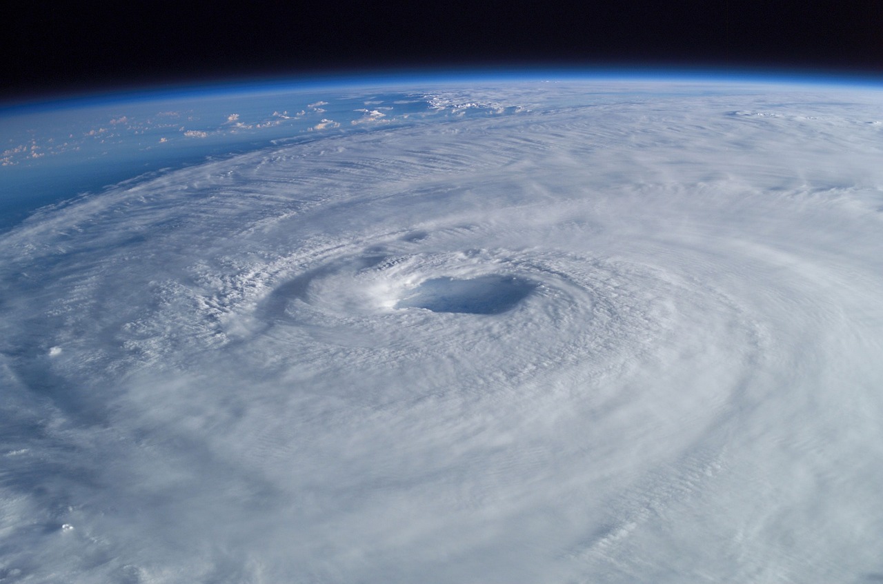 PSA: Experts Warn of Rising Scams as Cyclone Alfred Cleanup Begins