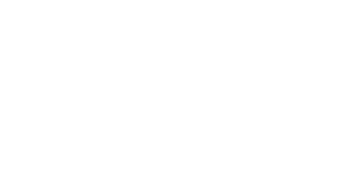 AUCyber Partner - NetApp